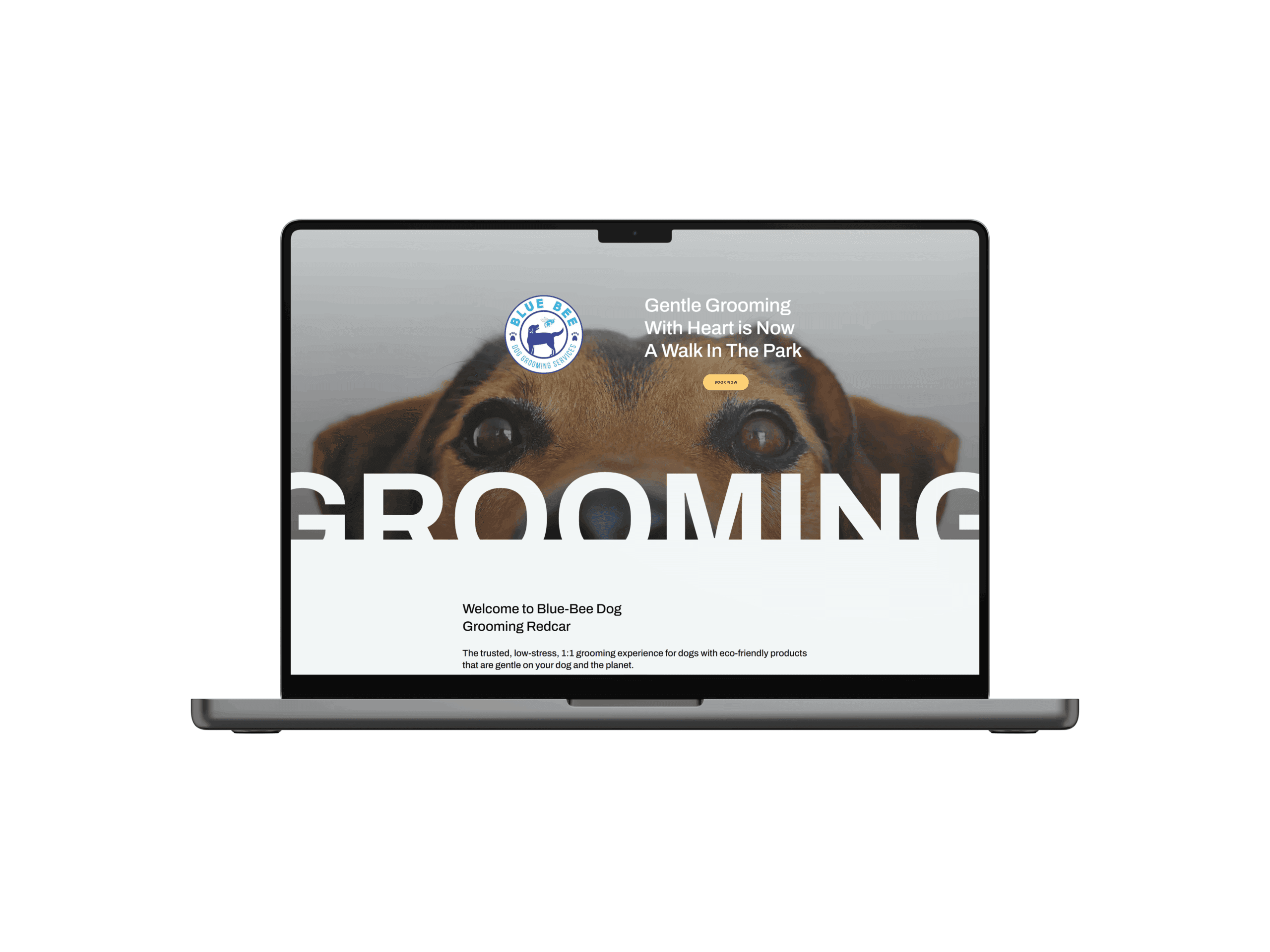 webdev-07 Blue Bee Dog Grooming Website Design | John Corner