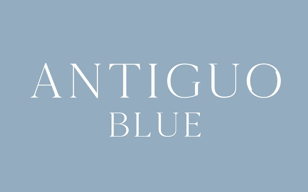 Antiguo Blue Web Development, SEO, E-commerce, and Branding Overview